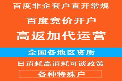 某某sem广告公司成功案例：如何通过SEM优化提高电商销售额